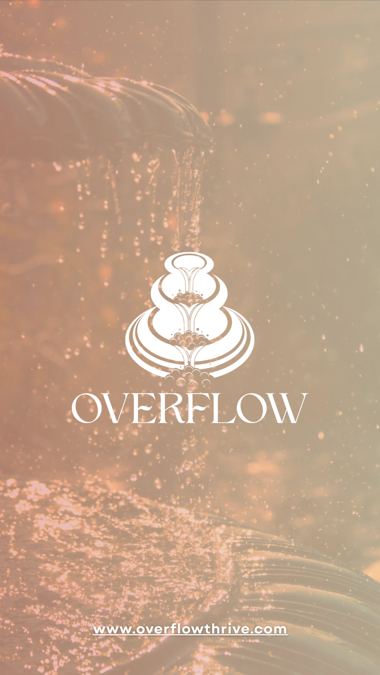 Overflow Thrive product preview